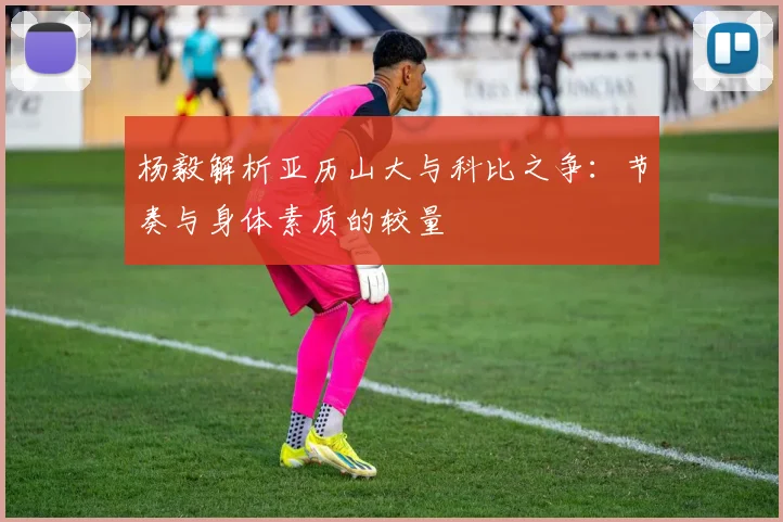 杨毅解析亚历山大与科比之争：节奏与身体素质的较量