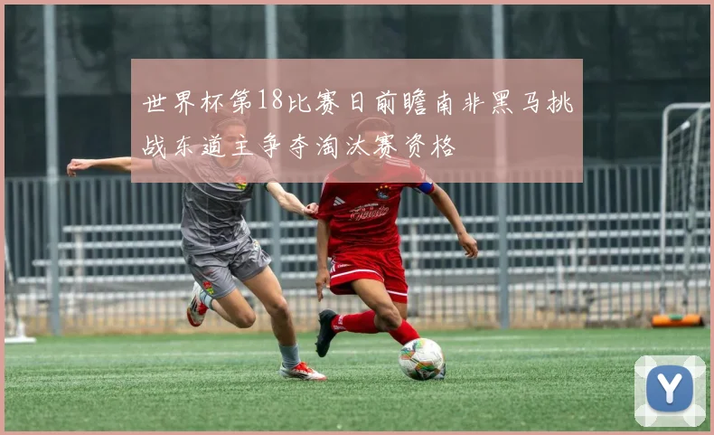 世界杯第18比赛日前瞻南非黑马挑战东道主争夺淘汰赛资格