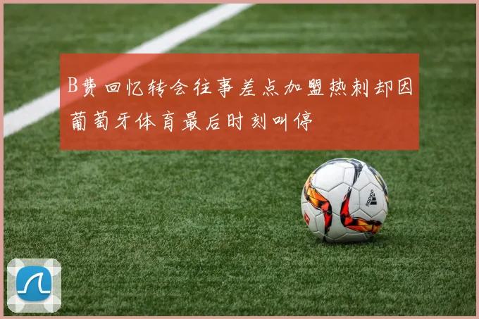 B费回忆转会往事差点加盟热刺却因葡萄牙体育最后时刻叫停